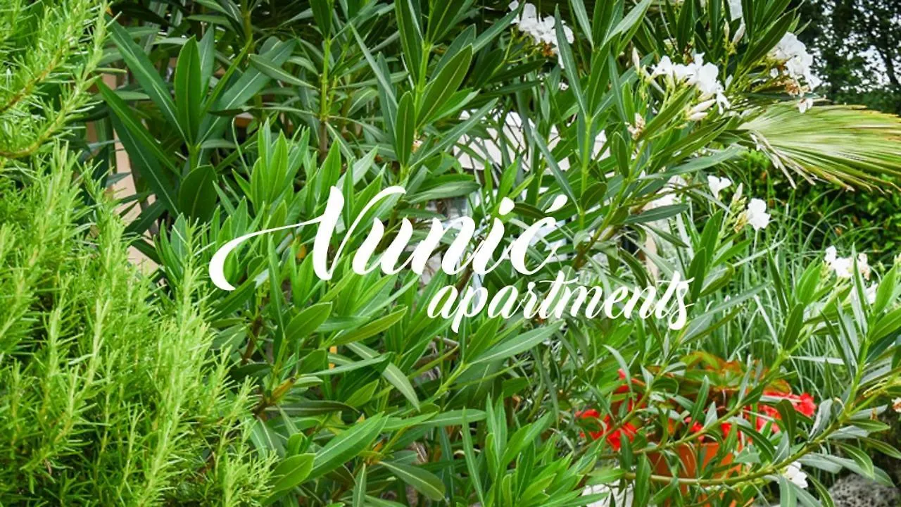 Apartments Vunic Mošćenička Draga Kroatien